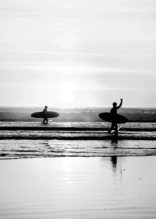 Surf Vibes