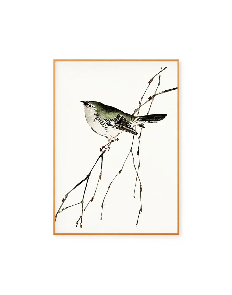 Bird Illustration by Kono Bairei