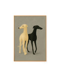Galgos