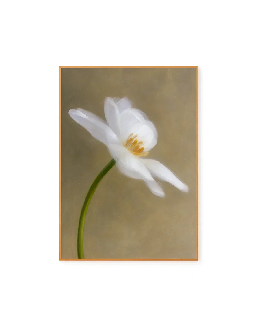 White Blossom